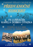 Blue Gold Elegant Musical Notes Christmas Advent Concert Event Flyer(2)