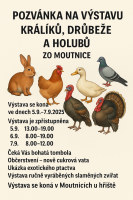 Výstava králíků, drůbeže a holubů Moutnice