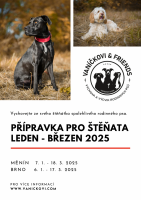 Přípravka V&F leden - březen 2025