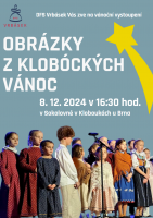 Screenshot 2024-12-04 at 22-10-15 DFS VRBÁSEK - DFS VRBÁSEK (8).pdf