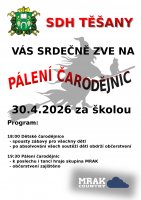 Pálení čarodejnic