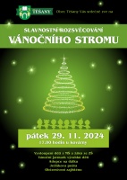 Slavnostní rozsvěcování vánočního stromu v Těšanech
