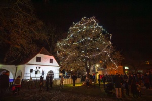 WhatsApp Image 2025-12-29 at 19.12.45 (16)