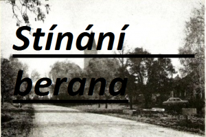 Stínání berana v Těšanech natočené Josefem Komínkem!!