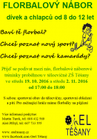 Nábor: Florbal Orel Těšany