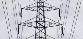 Upozornění na povinnost odstranit dřevinné porosty v okolí elektrického vedení