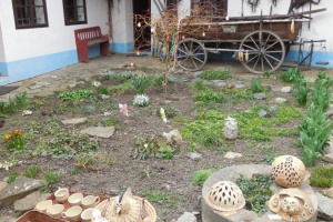 foto_1236