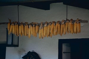 foto_1908