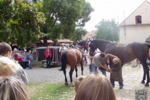foto_309