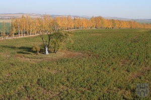 foto_39