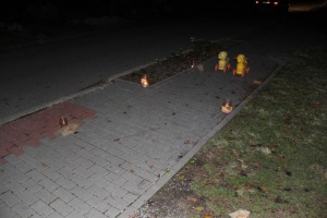 foto_4195