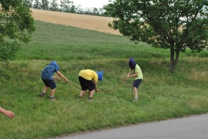 foto_5203