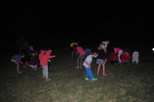 foto_5236