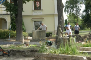 foto_546
