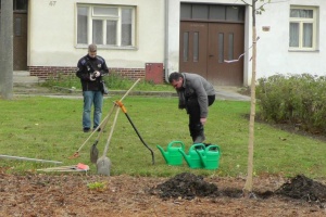 foto_6606
