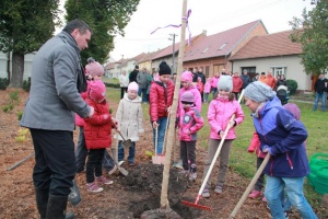 foto_6651