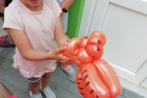 foto_8801