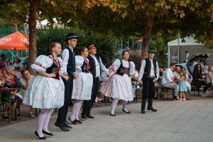 foto_9447